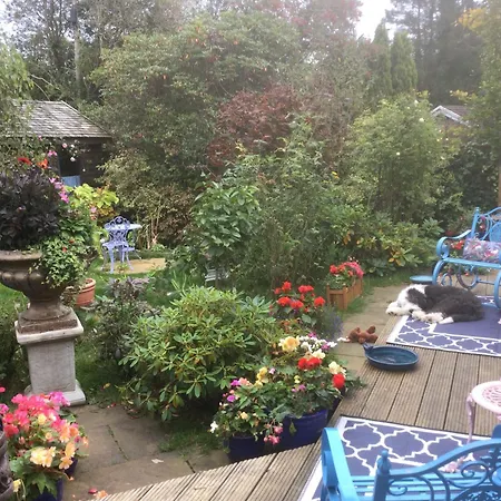 Angel Cottage-2